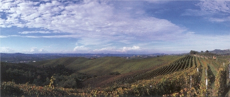 Barolo Fontanafredda Vigna la Rosa